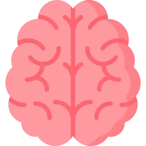 brain